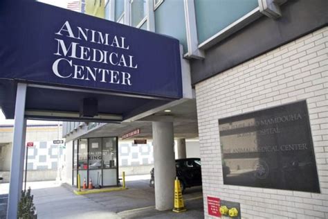 Top 5 Usa Animal Hospitals
