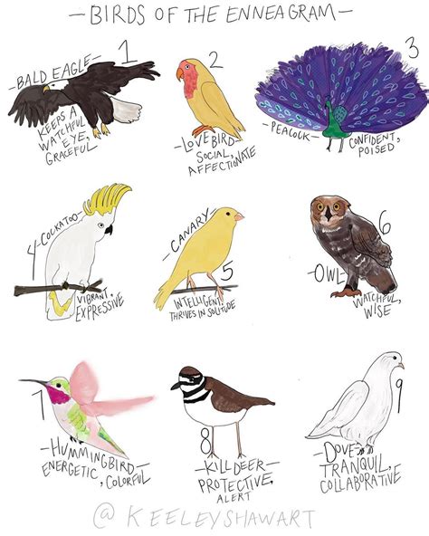 Bird Type Personality Test