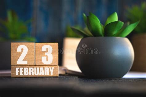 February 23rd Day 23 Of Month Cube Calendar With Date And Pot With