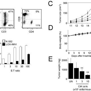 Efficacy Of Cytokine Induced Killer Cik Cells For Melanoma Treatment