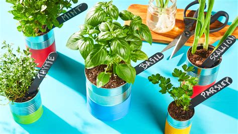 How To Grow Your Own Herbs Indoors Hellofresh Magazine