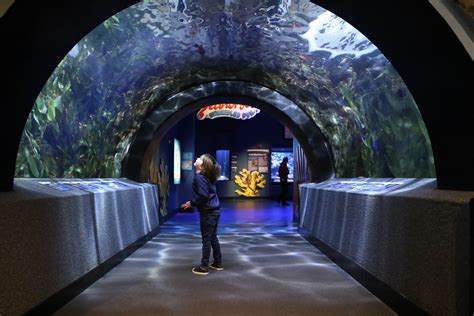 5 Indoor Attractions In Cincinnati That Are Surprisingly Kid Friendly