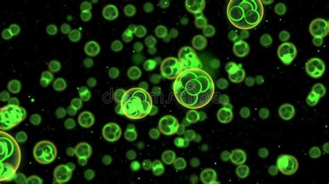 Bacteria Cells Closeup 3d Animation Stock Video Video Of Granule