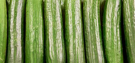Naked Cucumbers Now Available Without Plastic Wrap Morrisons My Xxx