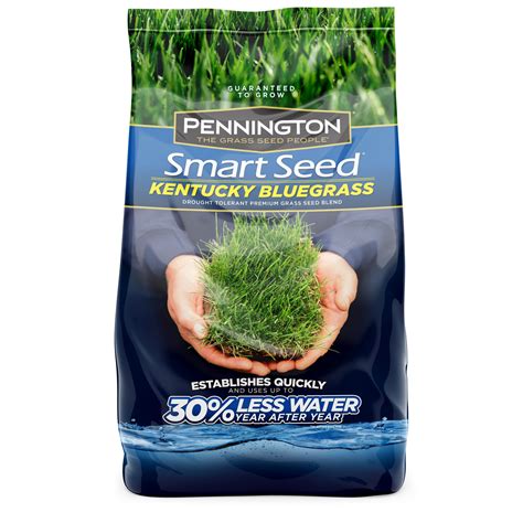 Pennington Smart Seed Kentucky Bluegrass Grass Seed Mix For A Dark Green Lawn 7 Lb Covers Up