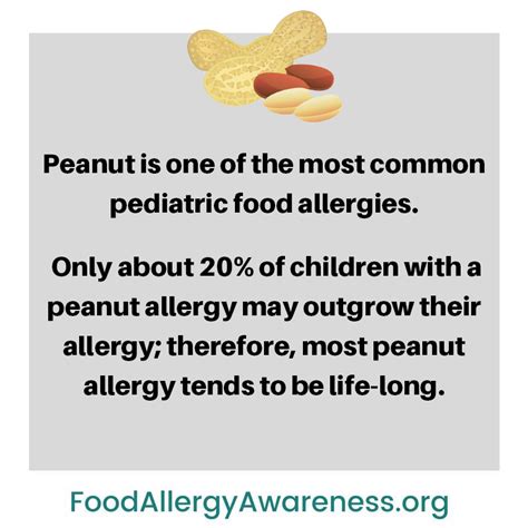 Food Allergy And Anaphylaxis Food Allergens Peanut