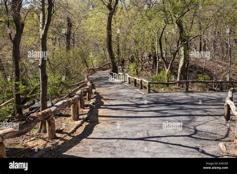 Pathwaythe Ramble Central Park Nyc Usa Stock Photo Alamy