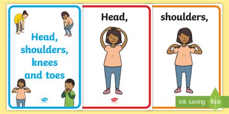 Head Shoulders Knees And Toes Posters Teacher Made