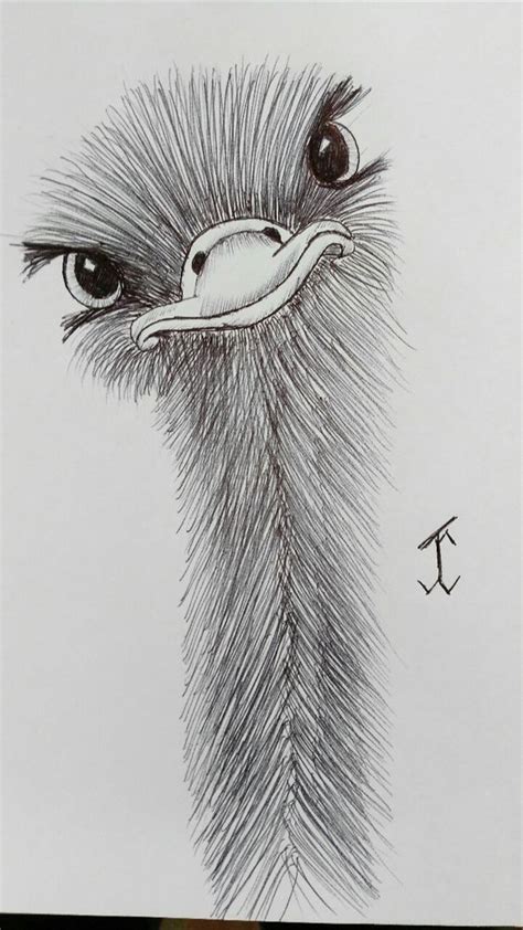 Zeichnung Skizzieren Strichmännchen Bleistiftzeichnung Mal Tutorial