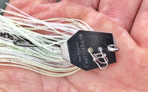 How To Fish A Chatterbait Field And Stream