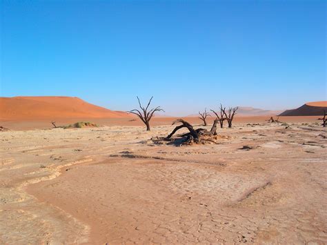 Deserts Habitats Wwf