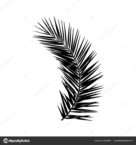 Silhouette Of A Palm Leaf Black Tropical Plant Isolated On White
