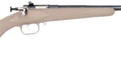 Crickett Rifle G2 22lr Blueddesert Tan