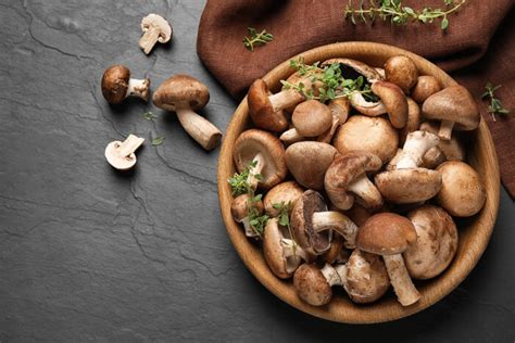 12 Best Edible Mushrooms You Can Grow Easily At Home