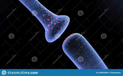 Neuronas And Synapse D Rende Stock Illustration Illustration Of