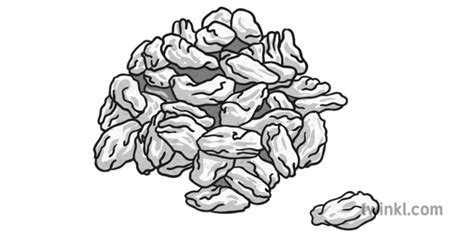 Raisin Clipart Black And White 10 Free Cliparts Download Images On