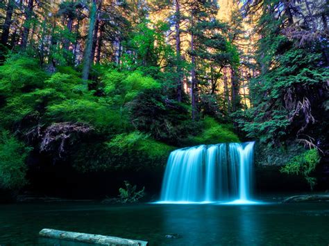 Waterfall In Green Forest Hd Wallpaper Background Image 2554x1918