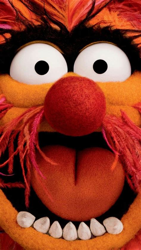 Animal Animal Muppet Muppets Funny The Muppets Characters