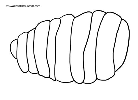 Cocoon Pages Coloring Pages