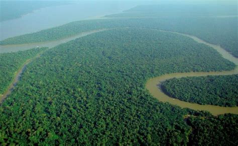 10 Interesting Facts About Amazon Rainforest 10 Interesting Facts