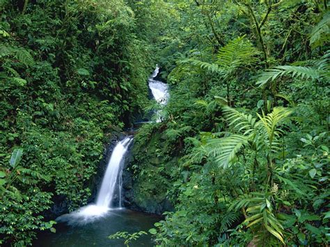 Things To Do And See In Monteverde Costa Rica Cloud Forest Costa