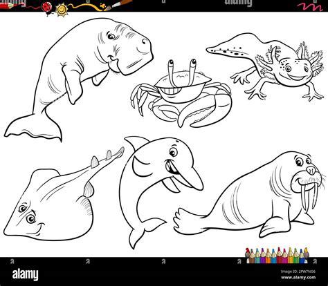 Cartoon Marine Animal Characters Set Coloring Page Stock Vector Image