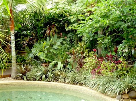 Temperate Climate Tropical Garden Gardendrum