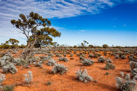 Outback Outback Australia Wikitravel Contents Banner Lintas Serba Serbi