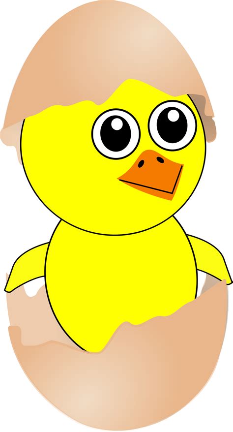 Chick Clipart Cliparts