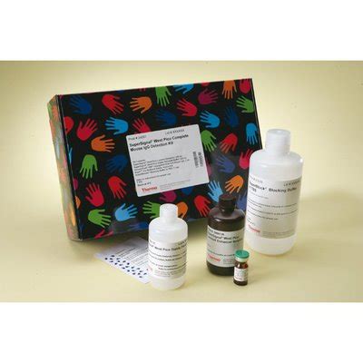 Thermo Scientific Supersignal West Pico Mouse Igg Detection Kit Mouse Supersignal Kit Ml