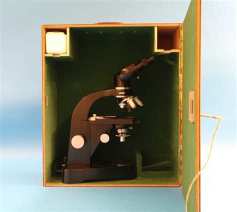 Compound Achromatic Microscope Binocular Tube Type Sm D Lux