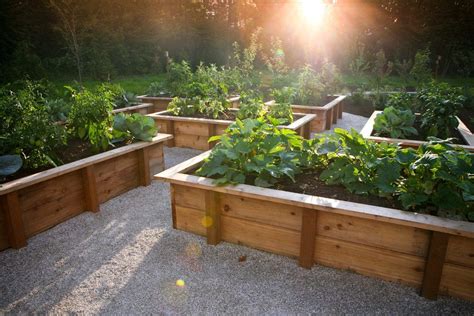 Raised Garden Beds On A Slope Landscape Traditional With L Shape