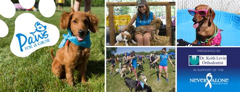 Paws for a Cause 2020