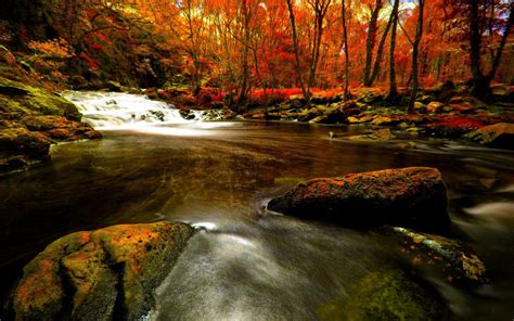 Autumn River Wallpapers Top Free Autumn River Backgrounds