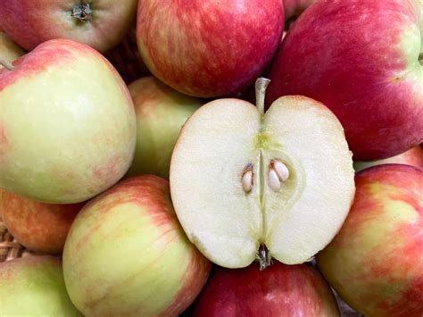 6 Ways To Know That Your Apples And Pears Are Ready To Pick