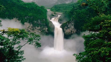 2560x1440 Green Forest Waterfall 1440p Resolution Hd 4k