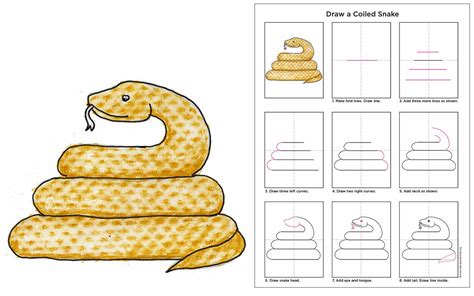 How To Draw A Snake Step By Step Snake Drawing For Kids Images And