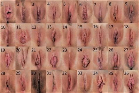 which one is your favorite pussy kyblue333