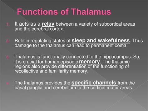Thalamus Its Functions And Thalamic Syndrome