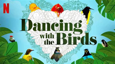 Is Documentary Originals Dancing With The Birds 2019 Streaming On