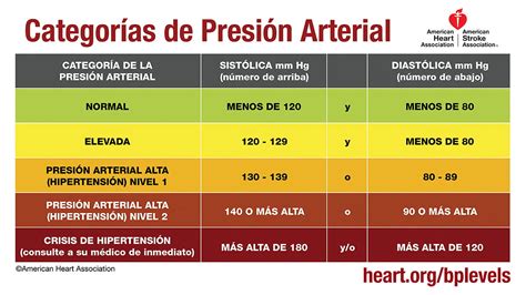 Presión Arterial Normal Baja Y Alta Valores Que Debes Conocer