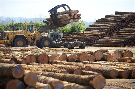We supply timber for a wide range of uses including niche markets; Vancouver's Columbia Vista lumber mill sold for $30.5 ...