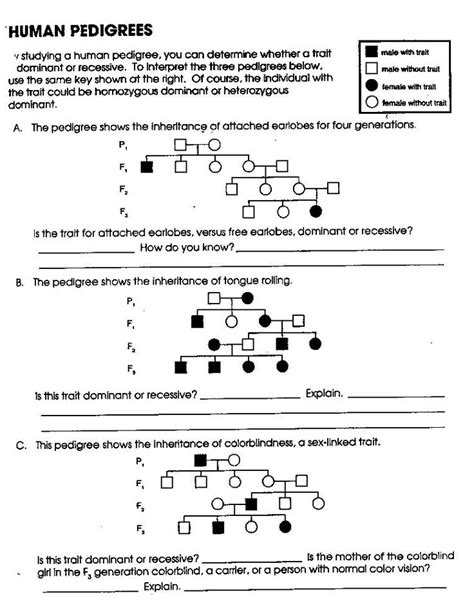 The pedigree analysis worksheet answers the question of how to do a pedigree analysis. Pedigree Genetics Worksheet Answers | Persuasive writing ...