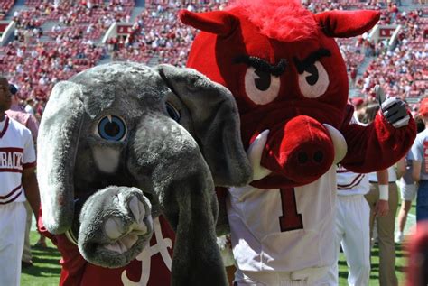 Photo Recap Hogs In Tuscloosa Mascot Big Al Alabama Football