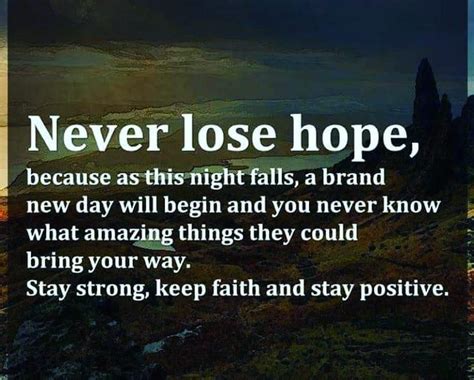 Never Lose Hope Daily Inspiration Quotes Beautiful