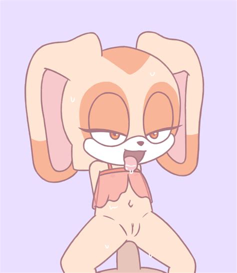 Cream The Rabbit Sega Sonic Series Animated Animated  Highres