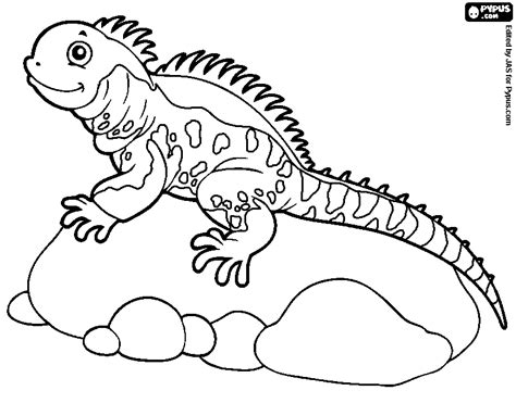 Coloring pages hello kitty hd wallpaper for desktop background. Iguana Coloring Page at GetDrawings | Free download