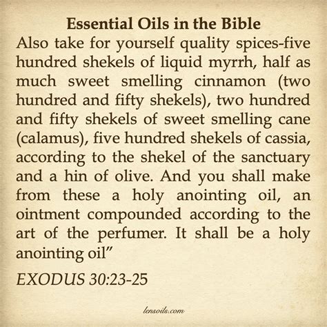 Anointing Oil Lens Oils