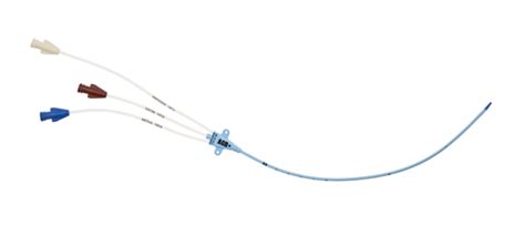 Ask 42703 Rv1 Teleflex Incorporated Vascular Access Product Catalog