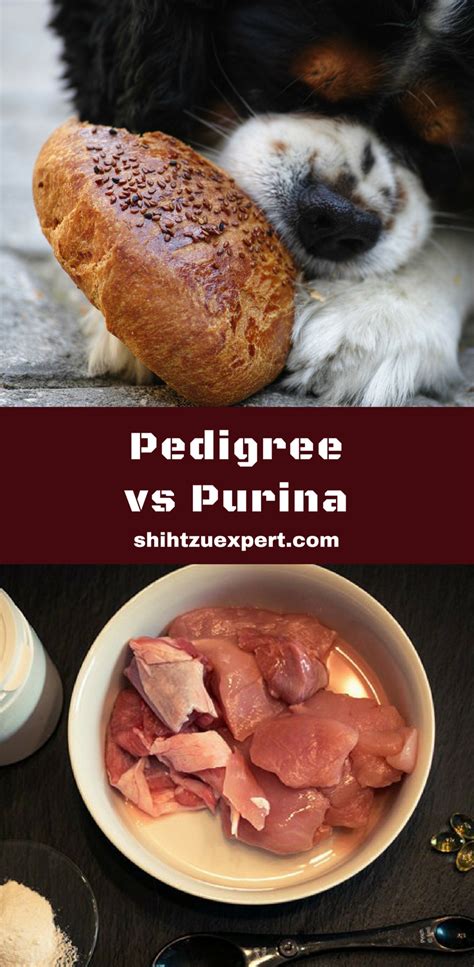 The aim of this site is to bring together all dog enthusiasts in india and all over the world, to share ideas and information, enrich their knowledge about dogs and work for the betterment of our loyal and affectionate companions. Pedigree vs Purina Which Should you feed your dog? | Dog ...